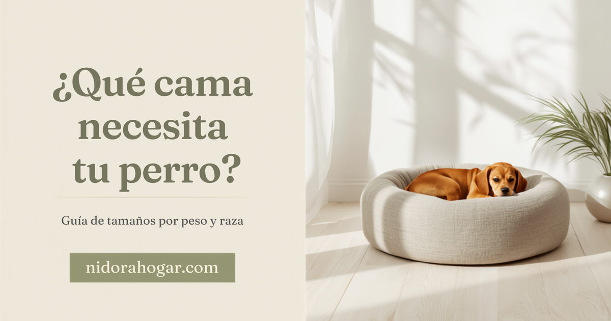 ¿Qué tamaño de cama necesita tu perro? Guía por peso y raza