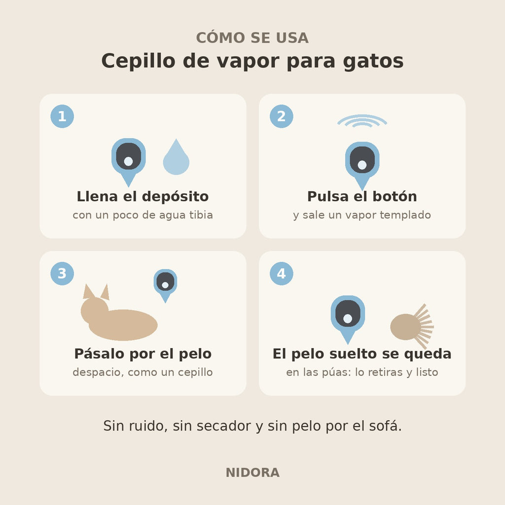 Cepillo de vapor para gatos: los cuatro pasos de uso